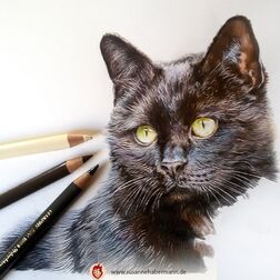 Tierporträt - schwarze Katze, Buntstifte am Rand- Zeichnung Buntstift auf Papier - A4