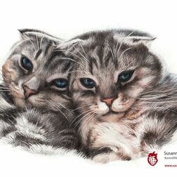 Tierporträt - zwei britisch-Kurzhaar Katzen - Zeichnung Buntstift auf Papier - A4- Haustier malen lassen