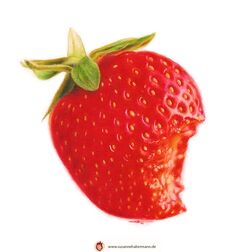 "Erdbeere mit Biss" - Erdbeere, angebissen - Zeichnung Buntstift auf Papier - A5 - verkauft