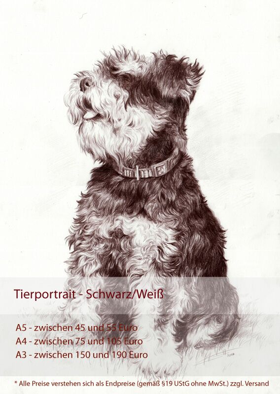 Preise Portraits - Schwarz/Weiß - A5 zwischen 45 und 55 Euro - A4 zwischen 75 und 105 Euro - A3 zwischen 150 und 190 Euro