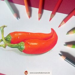 "Chili" - zwei rote Chilis - Schrägansicht, Buntstifte am Rand -  Zeichnung Buntstift auf Papier - A5 - verkauft