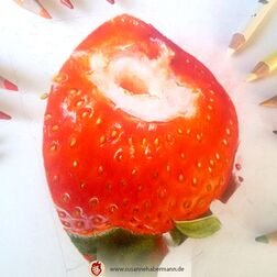 "Erdbeeren" - work in progress - Erdbeeren in Nahaufnahme, runder Ausschnitt - Schrägansicht mit Buntstiften am Rand - Zeichnung Buntstift auf Papier - 21 cm Durchmesser - 350 €