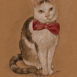 Tierporträt - Katze mit roter Schleife - Zeichnung Buntstift auf getöntem Papier- A4- Haustier malen lassen