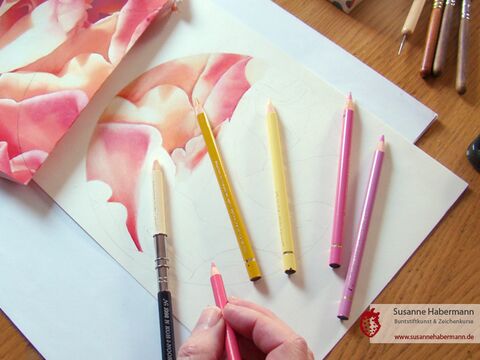 halb fertige Zeichnung einer rosa Blüte, eine Hand hält einen Buntstift - Zeichenkurs Nürnberg Fürth "Fotorealistisch Zeichnen mit Buntstiften" bei Susanne Habermann