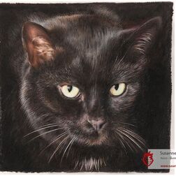 Tierporträt - schwarzer Katzenkopf - Zeichnung Buntstift auf Papier - 21 x 21 cm- Haustier malen lassen