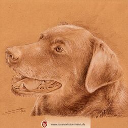 Tierporträt - Hundekopf - Zeichnung Buntstift auf getöntem Papier- A4- Haustier zeichnen lassen