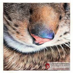 Tierporträt - Katzennase- Zeichnung Buntstift auf Papier - 21 x 21 cm- Haustier malen lassen