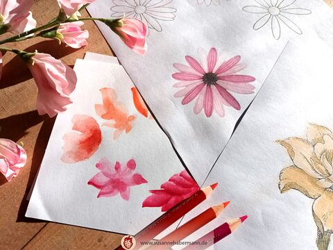 Unterschiedliche Zeichnungen von Blüten, in der linken oberen Ecke sind Kunstblumen zu sehen -  Zeichenunterricht - Großraum Nürnberg - Landkreis Neustadt a.d.Aisch-Bad Windsheim -  "Blumen zeichnen" Susanne Habermann - Zeichnen im Schloss