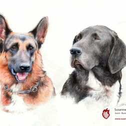 Tierporträt - zwei Hundeköpfe (Schäferhund, Jagdbund) - Zeichnung Buntstift auf Papier - A4- Haustier zeichnen lassen