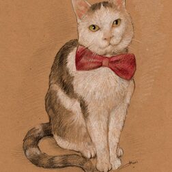 Tierporträt - Katze mit roter Schleife - Zeichnung Buntstift auf getöntem Papier- A4- Haustier malen lassen