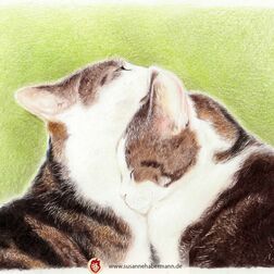 Tierporträt - zwei schmusende Katzen - Zeichnung Buntstift auf Papier - A4- Haustier zeichnen lassen