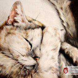 Tierporträt - Katze - Zeichnung Buntstift auf Papier - A4- Haustier malen lassen