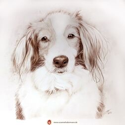 Tierporträt - Hund - Zeichnung Buntstift auf Papier-  21 x 21 cm - Haustier zeichnen lassen