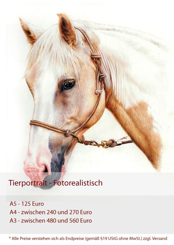 Preise Portraits - fotorealistisch - A5 ab 125 Euro - A4 zwischen 240 und 270 Euro - A3 zwischen 480 und 560 €