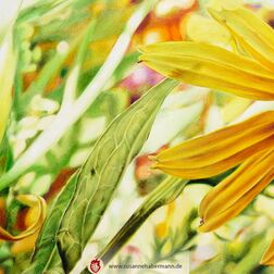 "Blumenstrauß" - Nahaufnahme eines Blumenstraußes, eine angeschnittene Sonnenblume und Blätter im Vordergrund - Zeichnung Buntstift auf Papier - 59 x 42cm - 750€