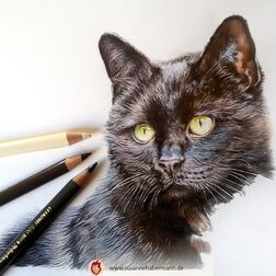 Tierporträt - schwarze Katze, Buntstifte am Rand- Zeichnung Buntstift auf Papier - A4