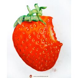 "Erdbeere" - Erdbeere, angebissen - Zeichnung Buntstift auf Papier - 41 x 41 cm - Auftragsarbeit