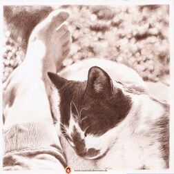 Tierporträt - Katze auf dem Schoß - Zeichnung Buntstift auf Papier-  Haustier zeichnen lassen