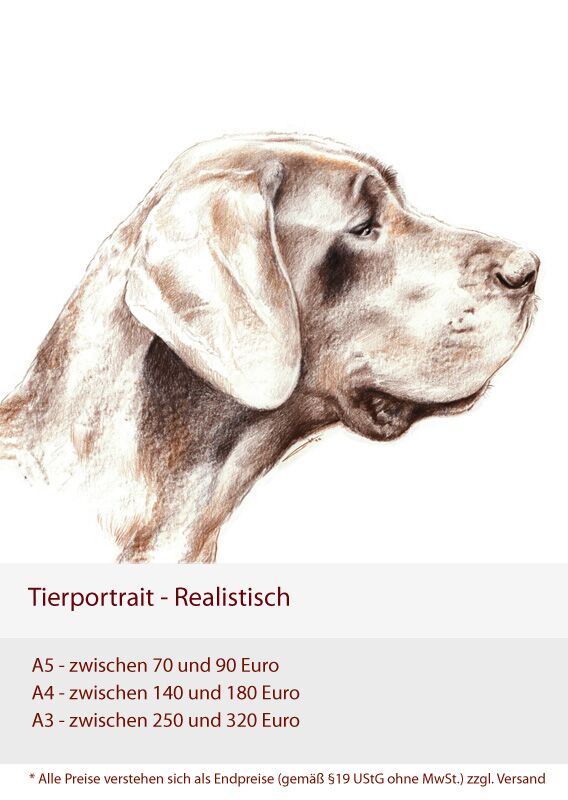 Preise Portraits - realistisch - A5 zwischen 70 und 90 Euro - A4 zwischen 140 und 180 Euro - A3 zwischen 250 und 320 Euro