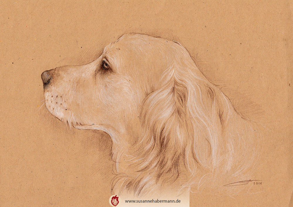 Tierporträt - Golden Retriever - Zeichnung Buntstift auf getöntem Papier- A4- Haustier zeichnen lassen