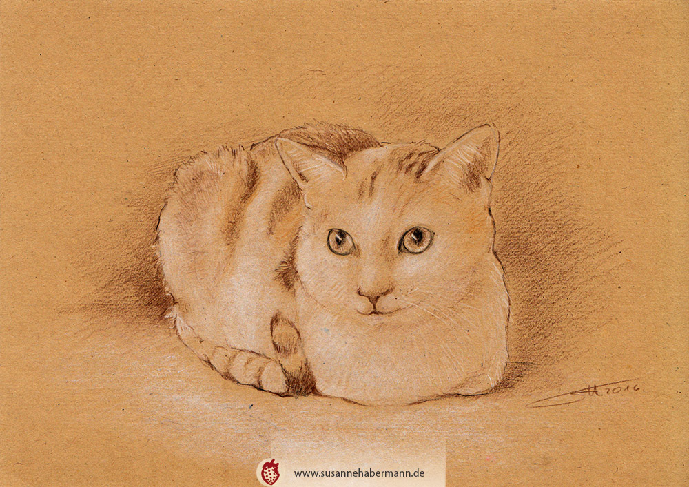 Tierporträt - Katze- Zeichnung Buntstift auf getöntem Papier- A4
