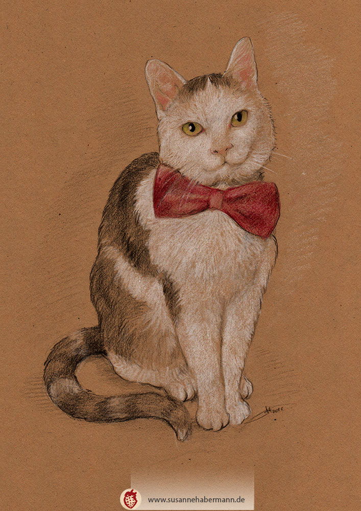Tierporträt - Katze mit roter Schleife - Zeichnung Buntstift auf getöntem Papier- A4