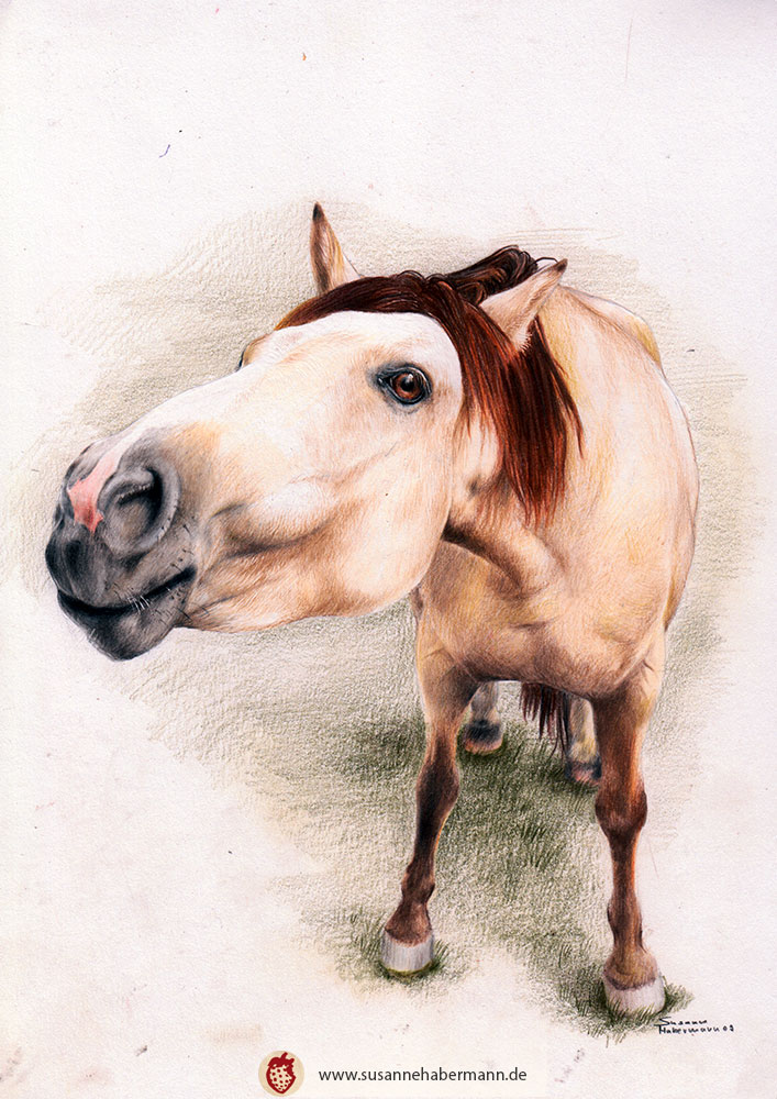 Tierporträt - Pferd, Kopf durch Nahaufnahme comichaft vergrößert - Buntstift auf Papier - A4