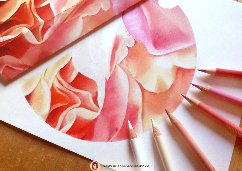 "Blüte" - Nahaufnahme einer Blüte in rosa, rot und gelb-Tönen - work in Progress -  Zeichnung Buntstift auf Papier 18 cm Durchmesser - 250 €