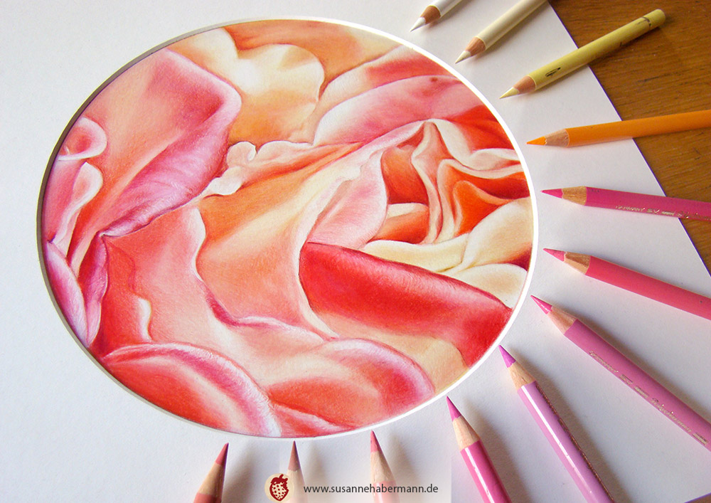 "Blüte" - Nahaufnahme einer Blüte in rosa, rot und gelb-Tönen - mit rundem Passepartout -  Zeichnung Buntstift auf Papier 18 cm Durchmesser - 250 €