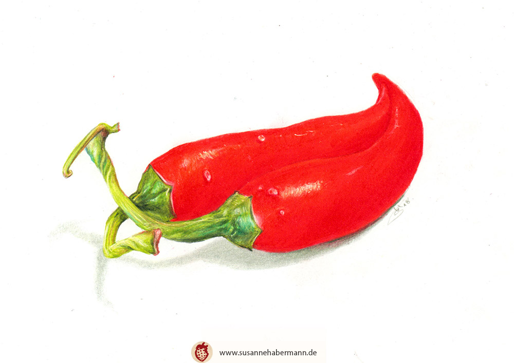 "Chili" - zwei rote Chilis -  Zeichnung Buntstift auf Papier - A5 - verkauft