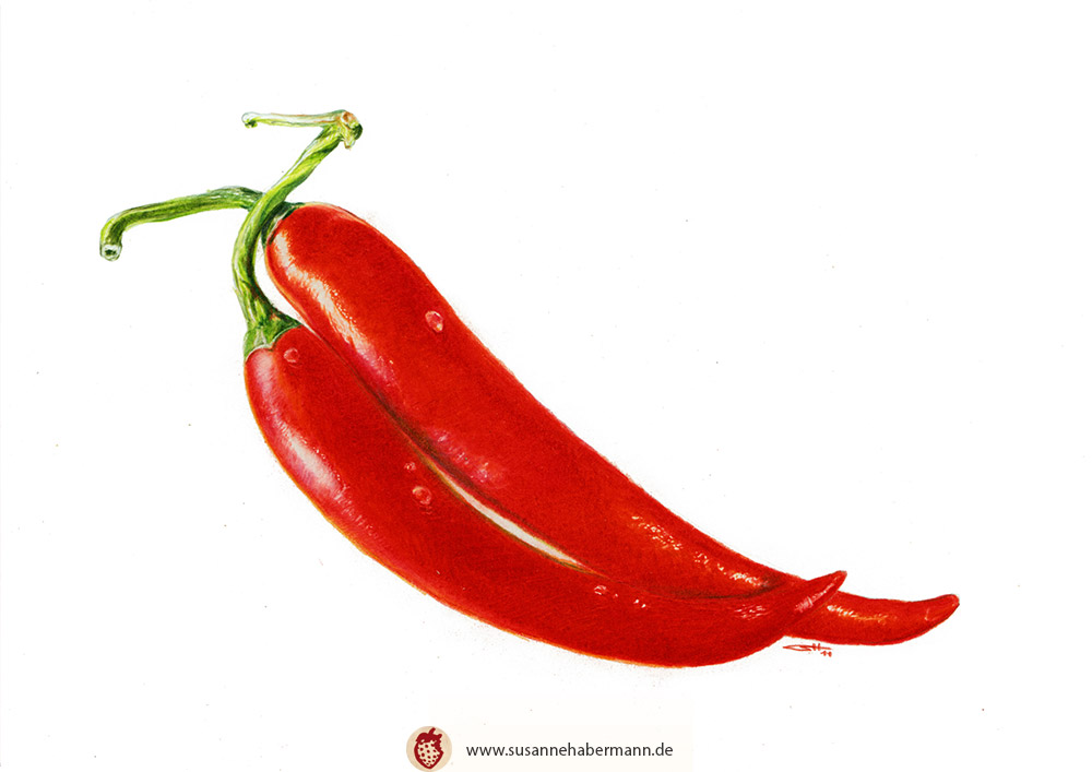"Chili" - zwei rote Chilis -  Zeichnung Buntstift auf Papier - A5 - verkauft