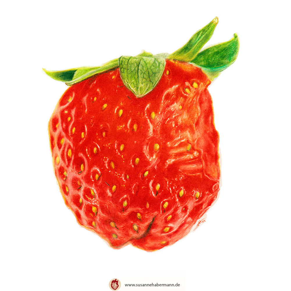 "Erdbeere mit Biss" - Erdbeere, angebissen - Zeichnung Buntstift auf Papier - A5 - 125€
