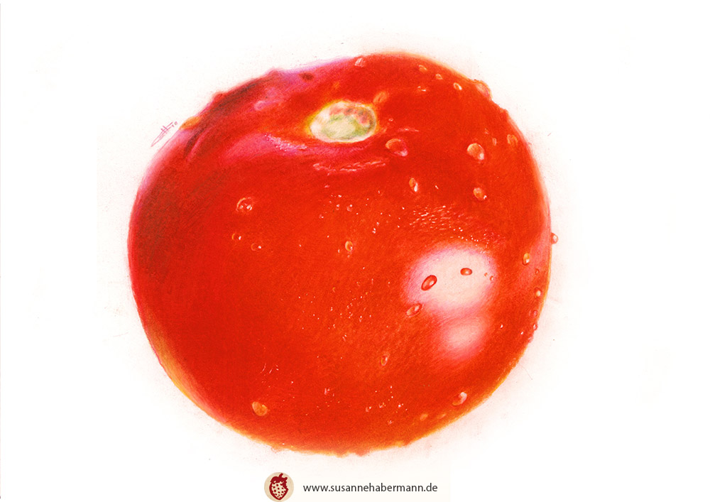 "Tomate" - reife Tomate mit Wassertropfen auf der Oberfläche - Zeichnung Buntstift auf Papier - A5 - verkauft